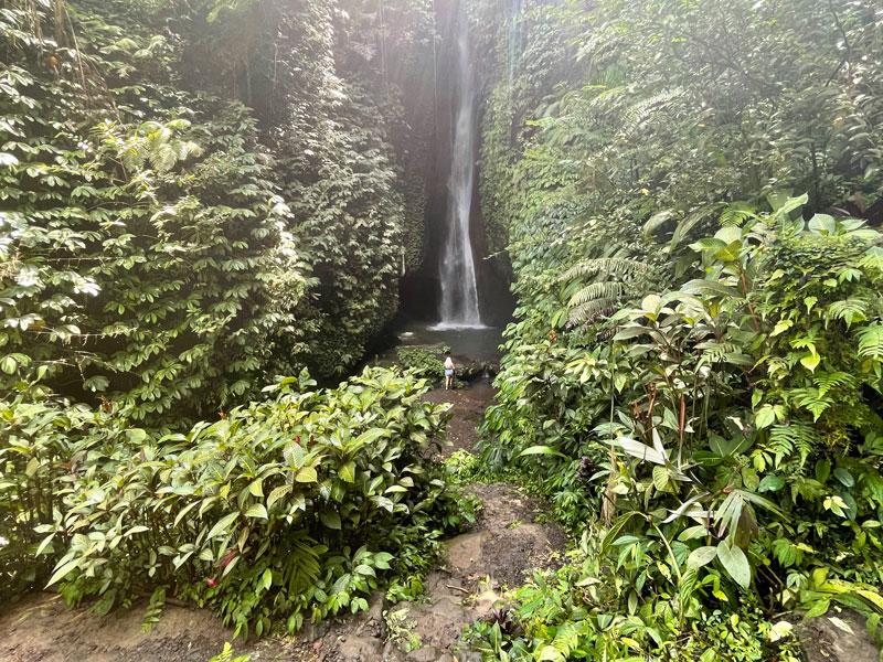 Leke Leke waterval - watervallen Ubud