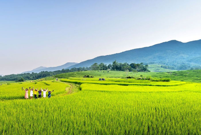 Bezoek de rijstvelden in Bali